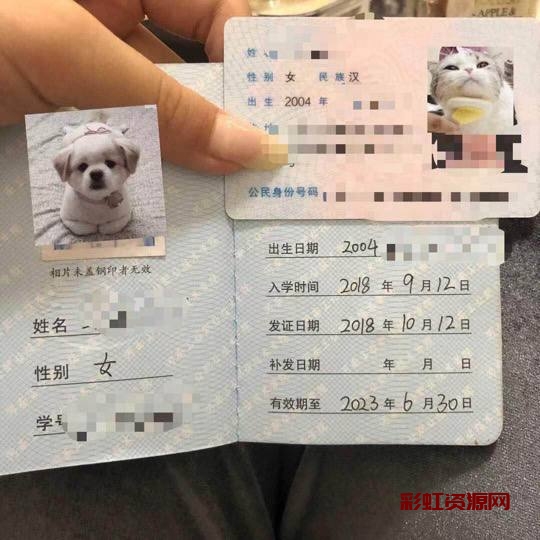 尹怡瑜     小刘亦菲真实在校生