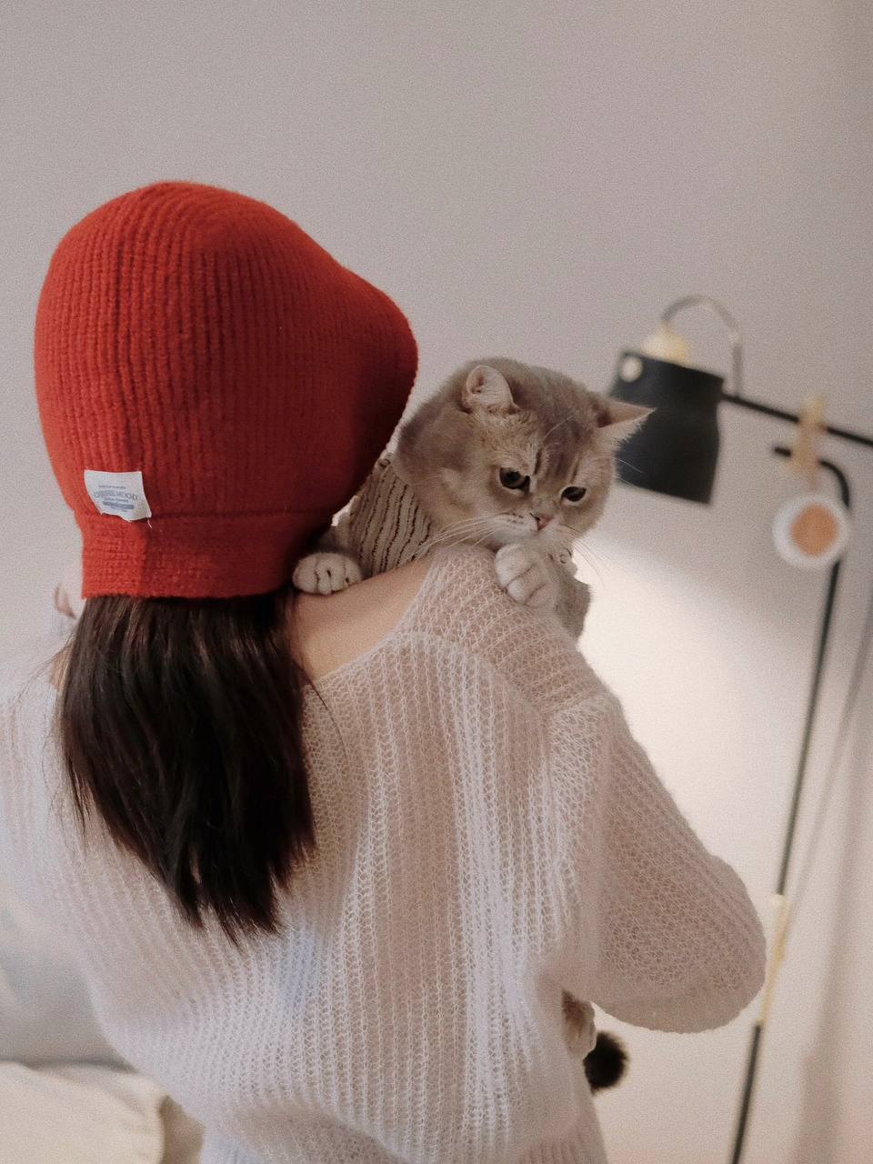 #宠物 #猫 #居家