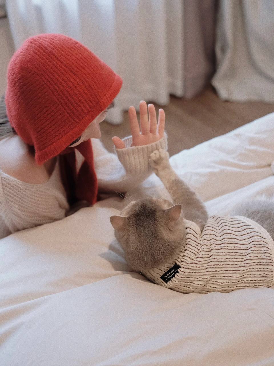 #宠物 #猫 #居家