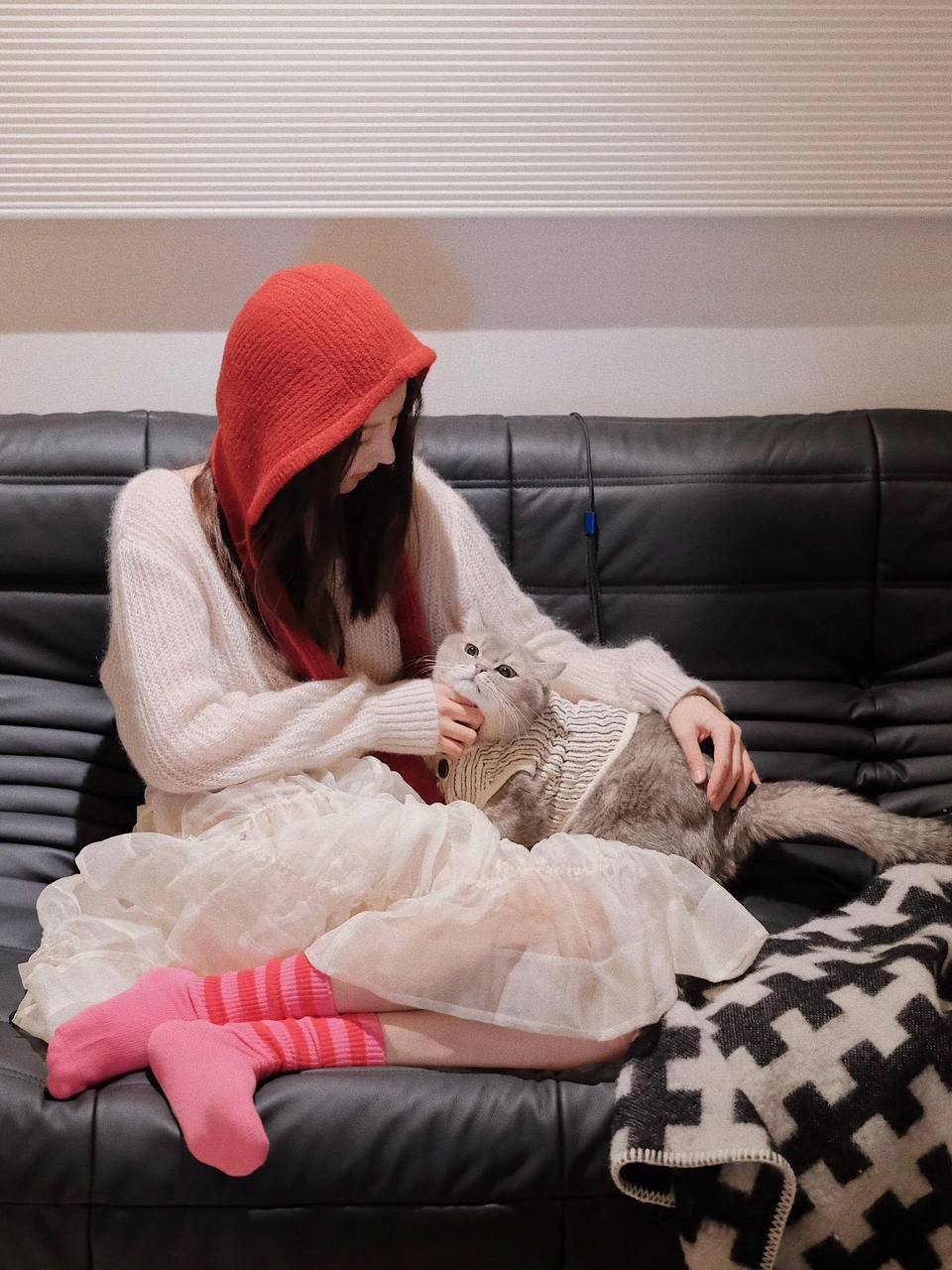 #宠物 #猫 #居家