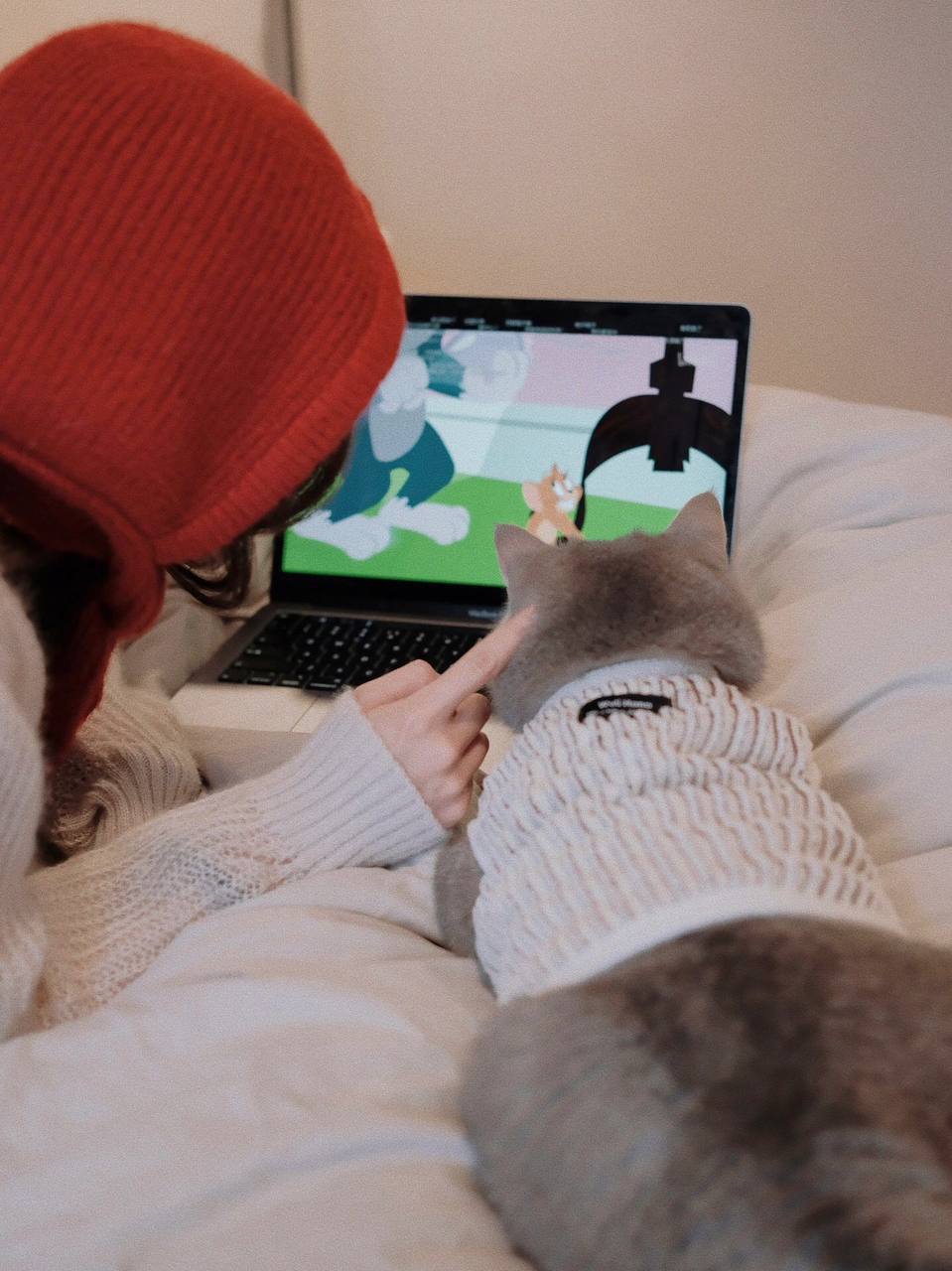 #宠物 #猫 #居家