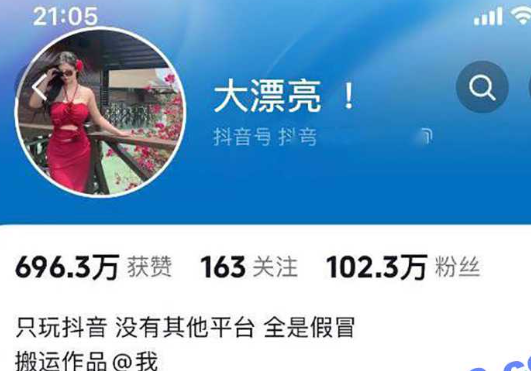 抖音百万粉丝女网红 大漂亮